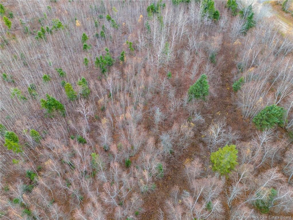 









Lot


Renauds Mills

RD,
Saint-Antoine,







NB
E4V 2X7

