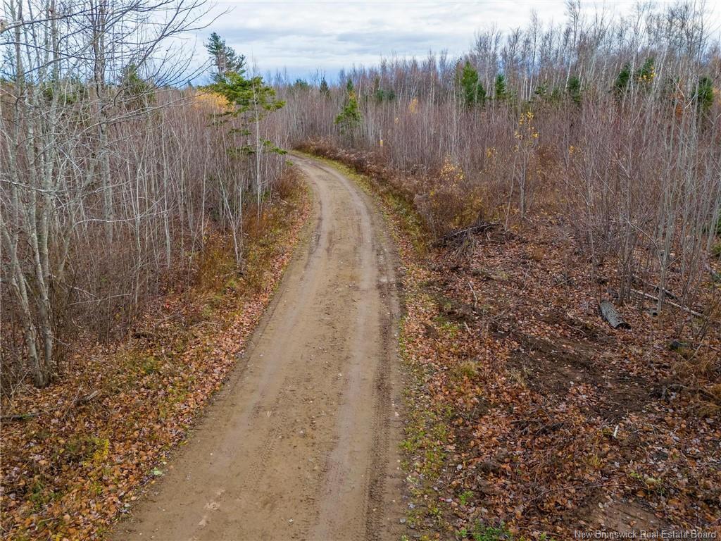 









Lot


Renauds Mills

RD,
Saint-Antoine,







NB
E4V 2X7

