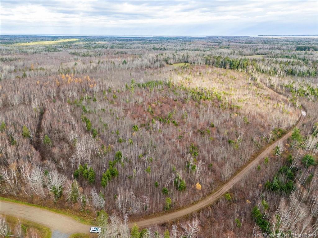 









Lot


Renauds Mills

RD,
Saint-Antoine,







NB
E4V 2X7

