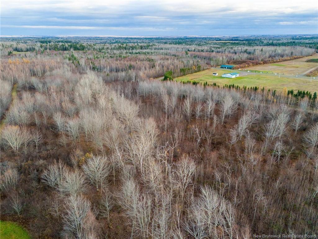 









Lot


Renauds Mills

RD,
Saint-Antoine,







NB
E4V 2X7

