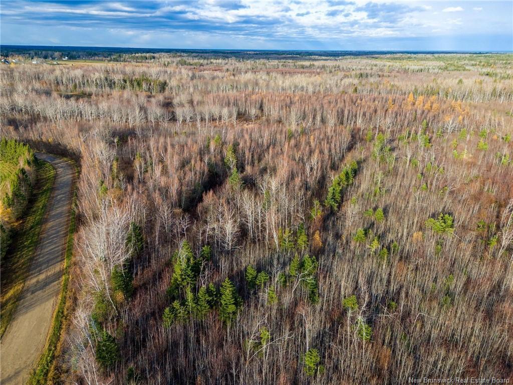 









Lot


Renauds Mills

RD,
Saint-Antoine,







NB
E4V 2X7

