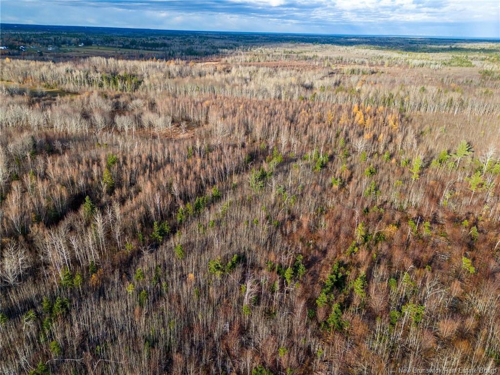 









Lot


Renauds Mills

RD,
Saint-Antoine,







NB
E4V 2X7

