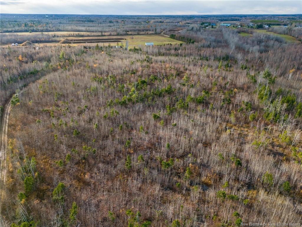 









Lot


Renauds Mills

RD,
Saint-Antoine,







NB
E4V 2X7

