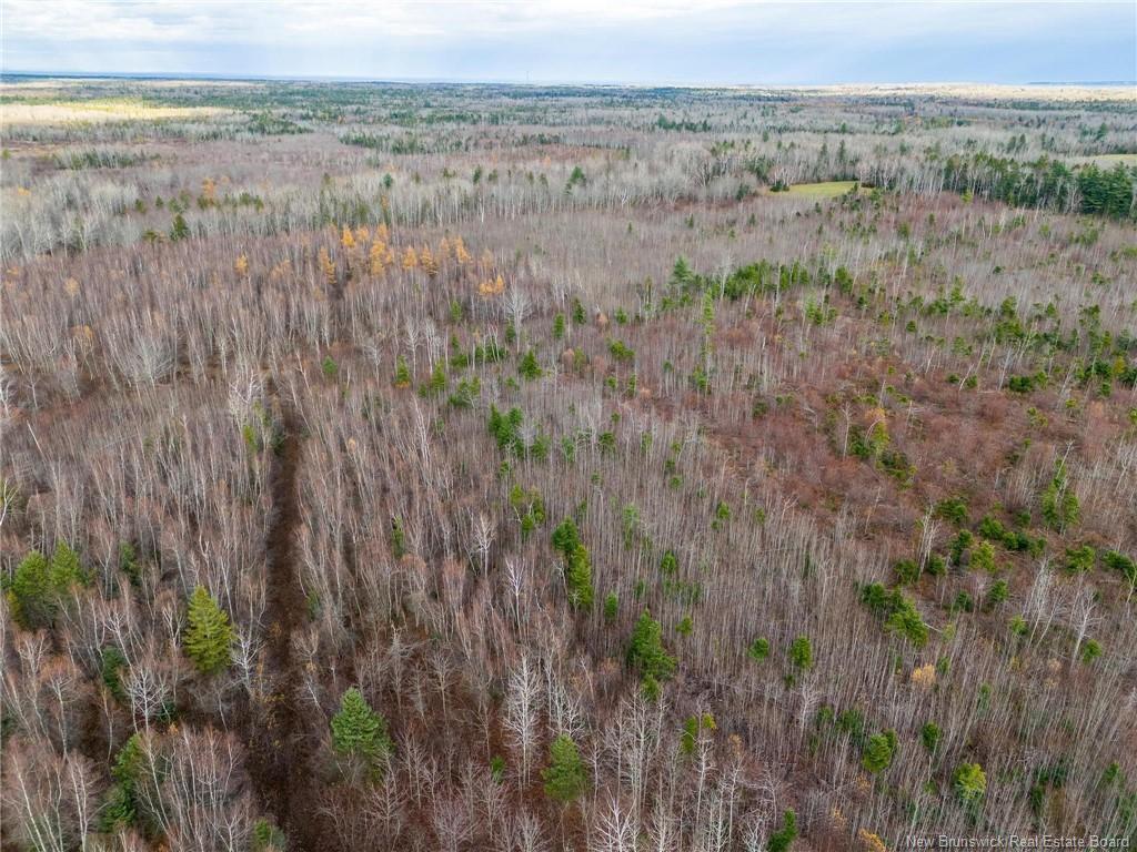 









Lot


Renauds Mills

RD,
Saint-Antoine,







NB
E4V 2X7

