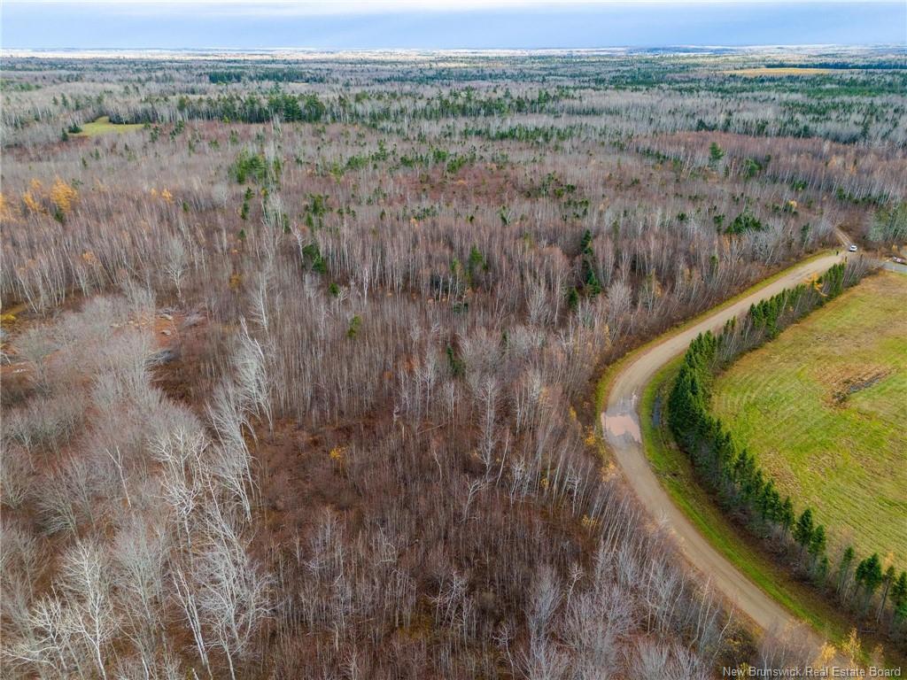 









Lot


Renauds Mills

RD,
Saint-Antoine,







NB
E4V 2X7

