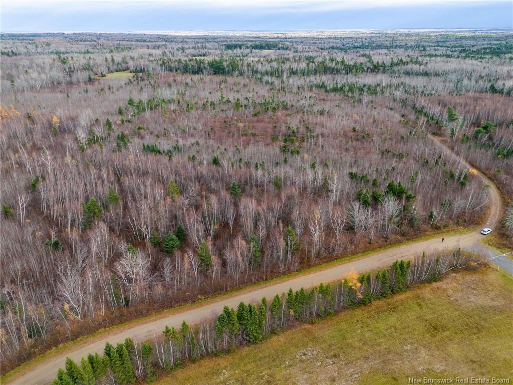 









Lot


Renauds Mills

RD,
Saint-Antoine,







NB
E4V 2X7

