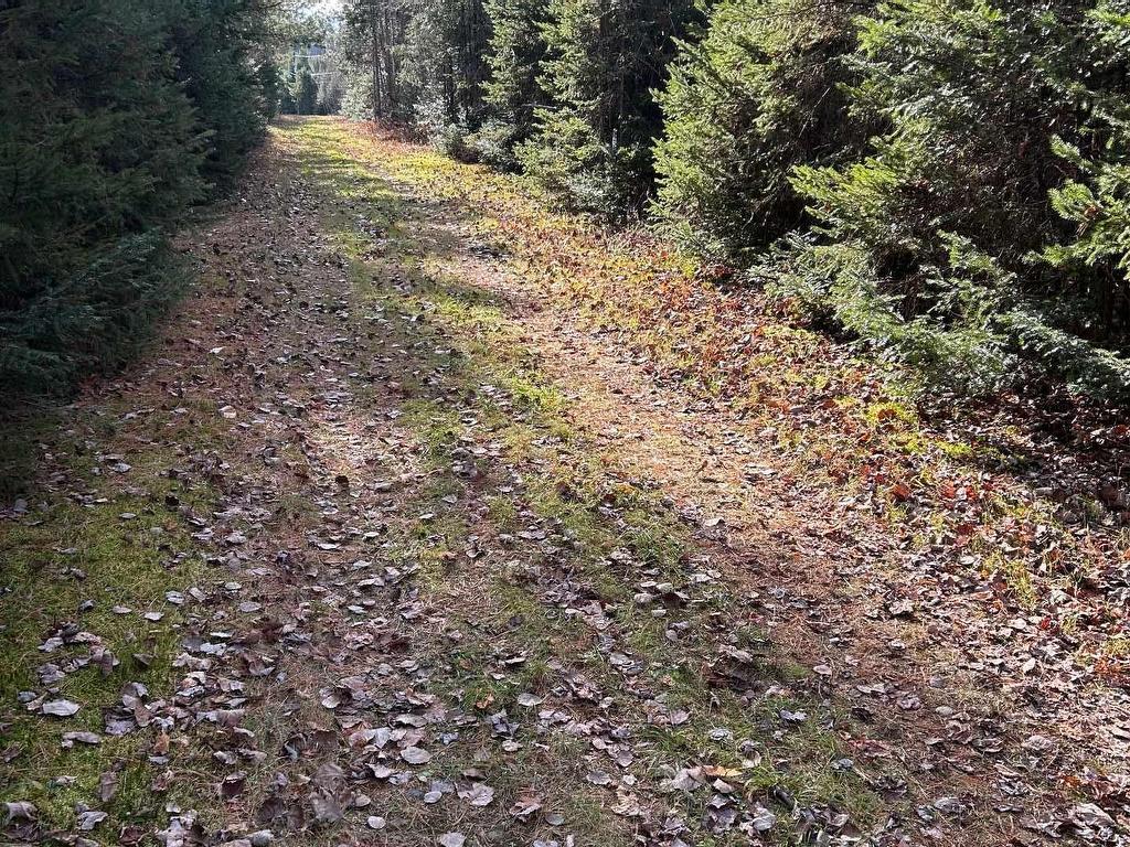 









221


Av. René

,
Saint-Élie-de-Caxton,







QC
G0X2N0

