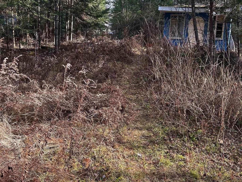 









221


Av. René

,
Saint-Élie-de-Caxton,







QC
G0X2N0

