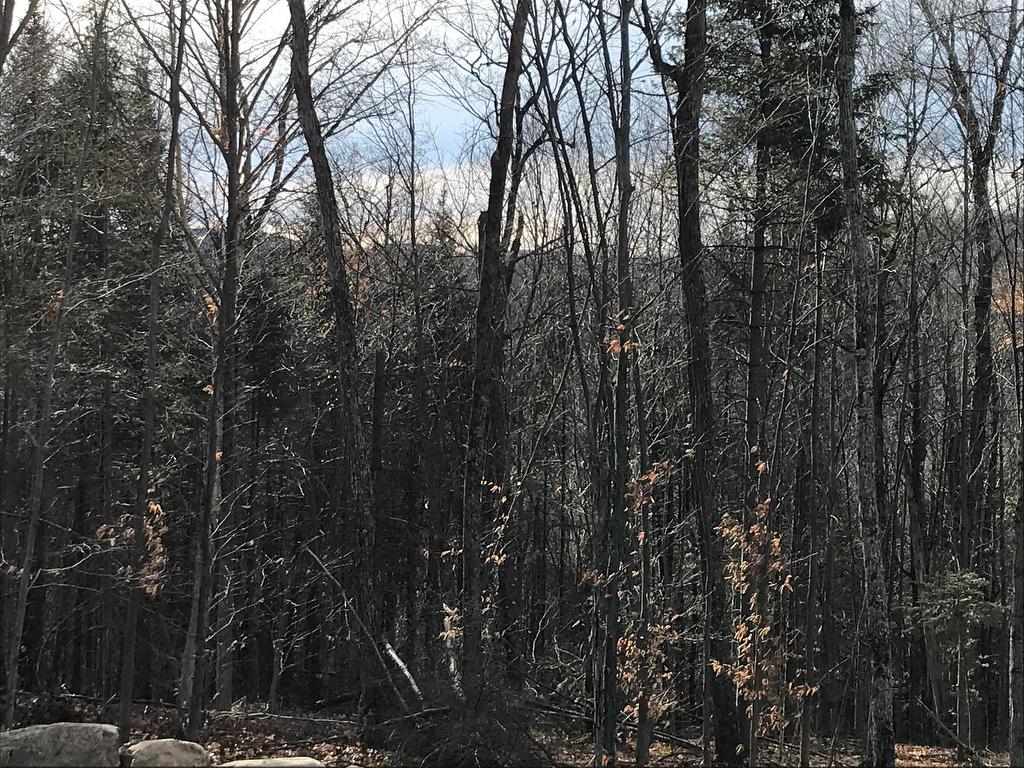 












Mtée Brien

,
Lac-Supérieur,







QC
J0T1J0

