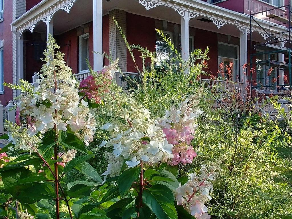 









552

 - 562


2e Rue de la Pointe

,
Shawinigan,




QC
G9N1J7

