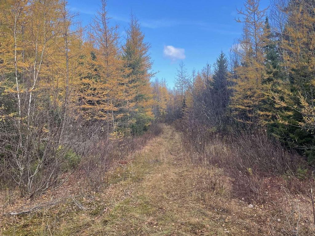 












Adams Road

,
Glengary,







PE
C0B 1E0

