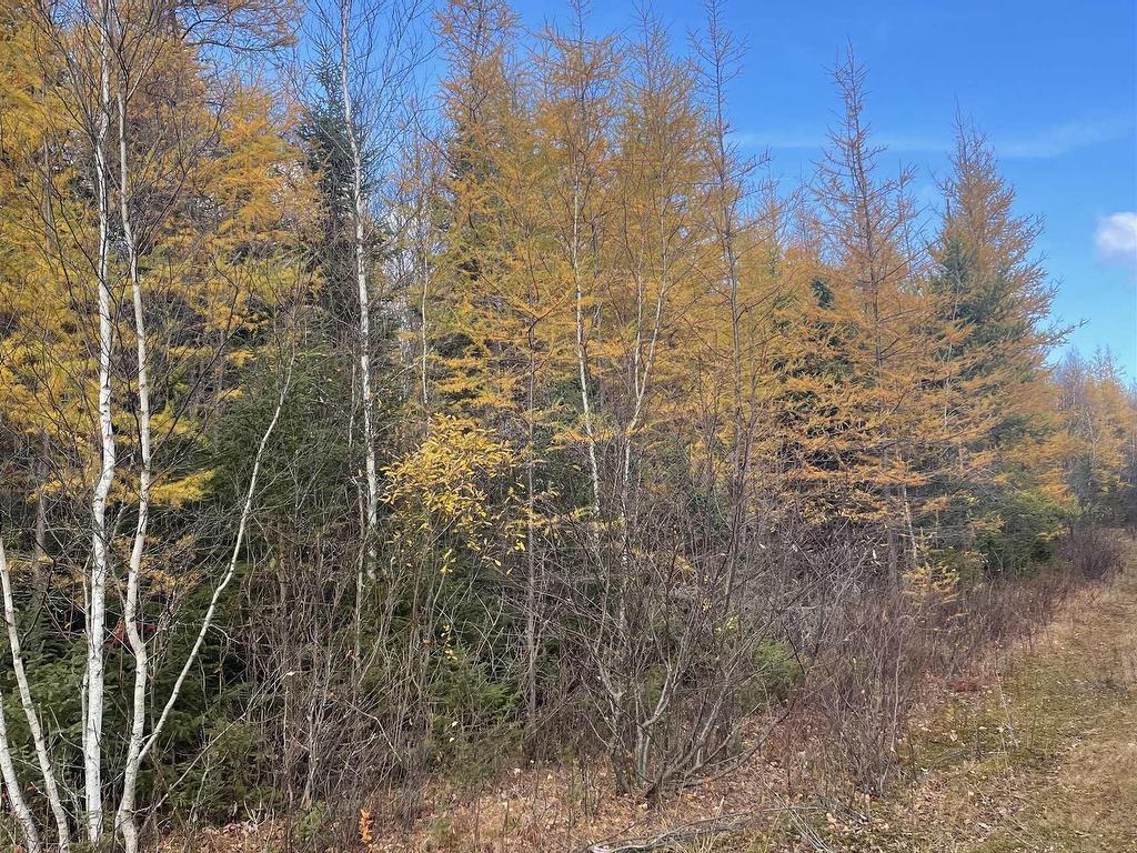 












Adams Road

,
Glengary,







PE
C0B 1E0

