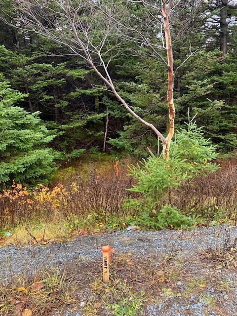 









94-96


Highway East

,
Victoria,







NL
A0A 4G0

