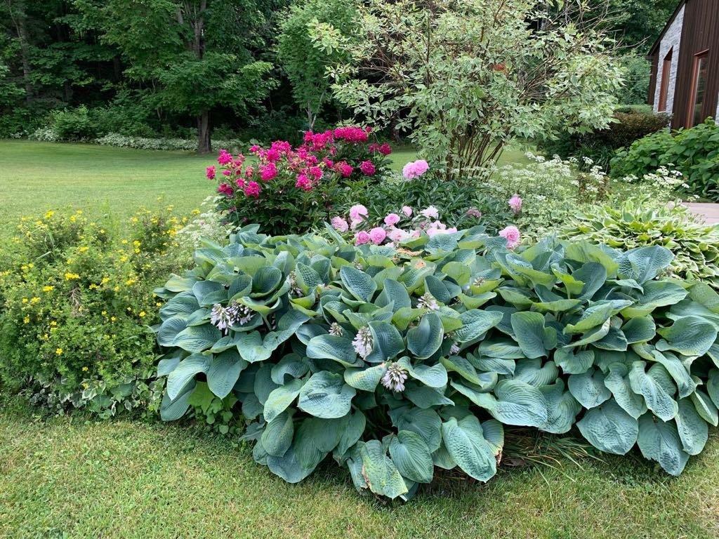 









511


Rg St-Louis

,
Saint-André-Avellin,







QC
J0V1W0

