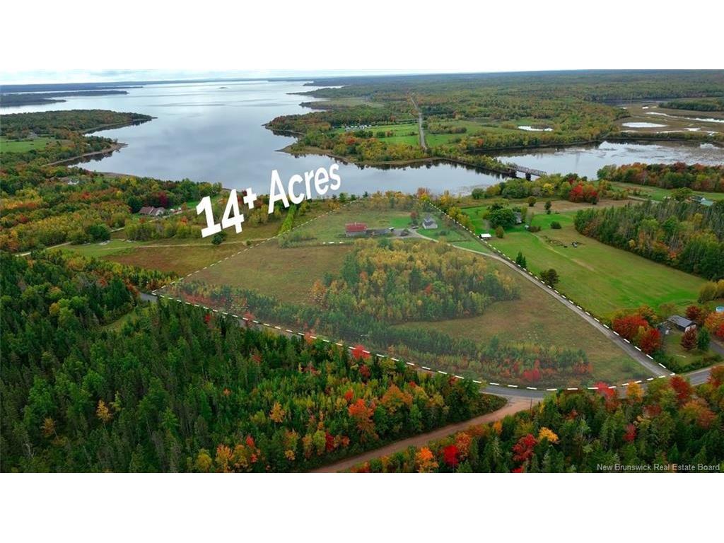 









28


Chapman

RD,
Newcastle Creek,




NB
E4B 2L6

