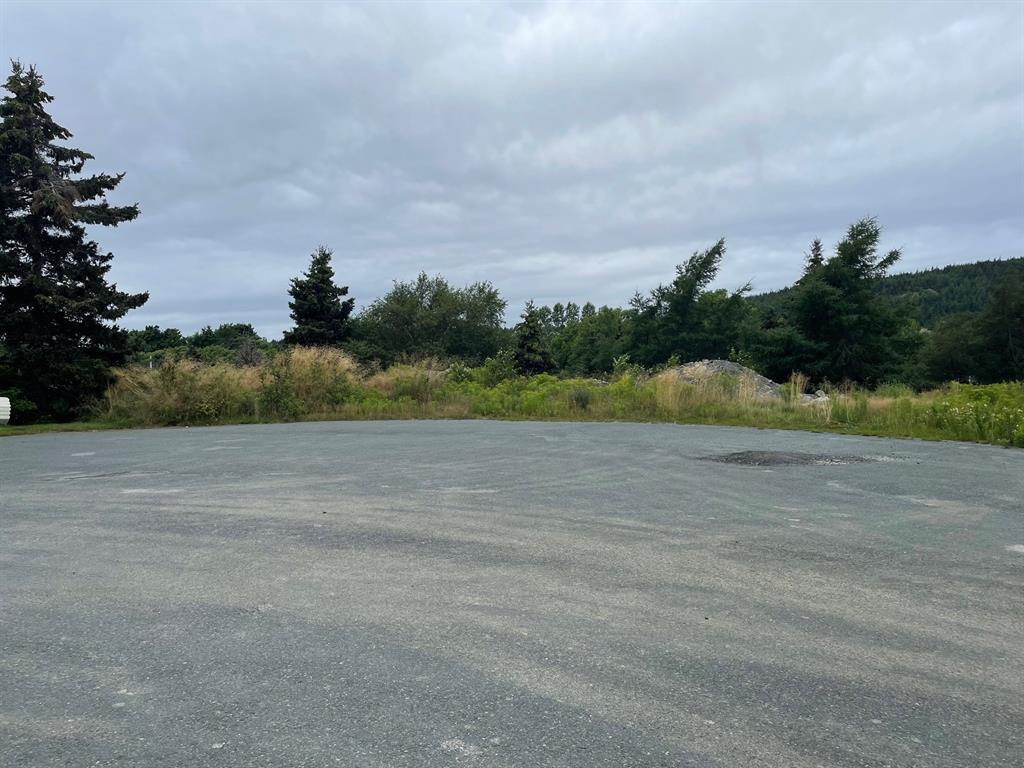 









14, Lot 10


Blueberry

Place,
Brigus,







NL
A0A 1K0

