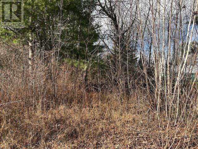 












34 Mississagi CRES

,
Iron Bridge,







Ontario
P0R1H0

