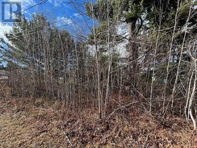 












34 Mississagi CRES

,
Iron Bridge,







Ontario
P0R1H0

