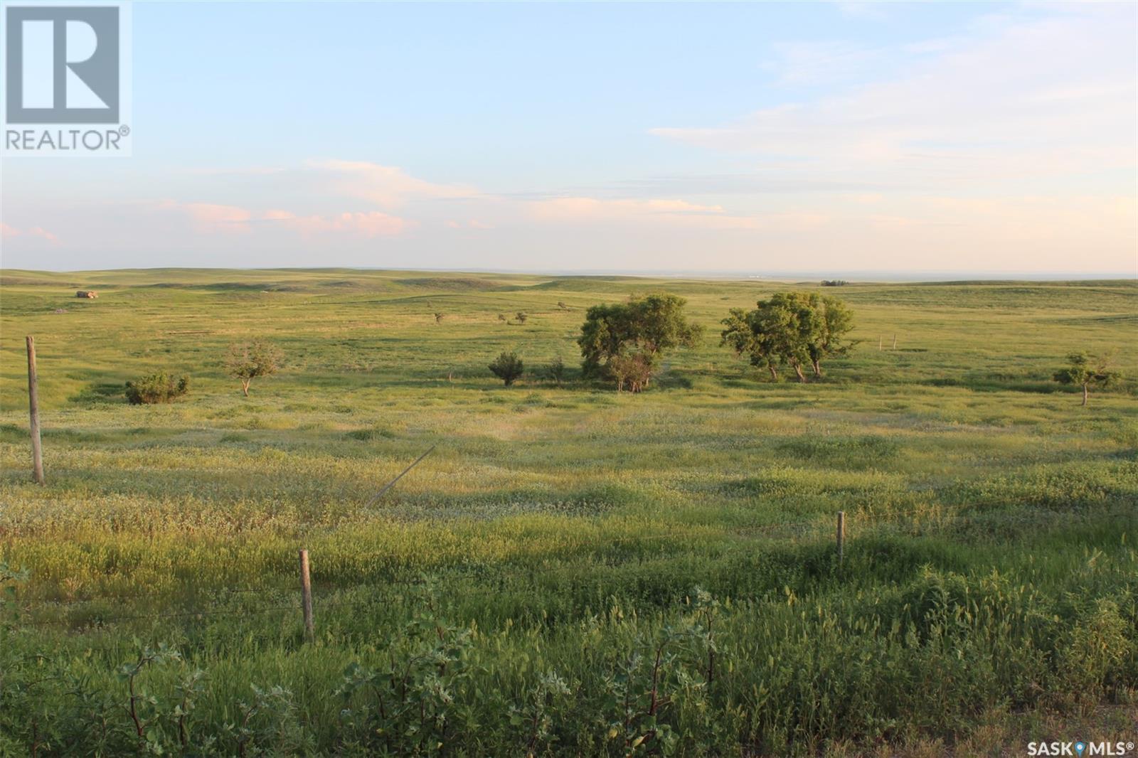 












Large Cattle Ranch

,
Lacadena Rm No. 228,







Saskatchewan
S0L1V0

