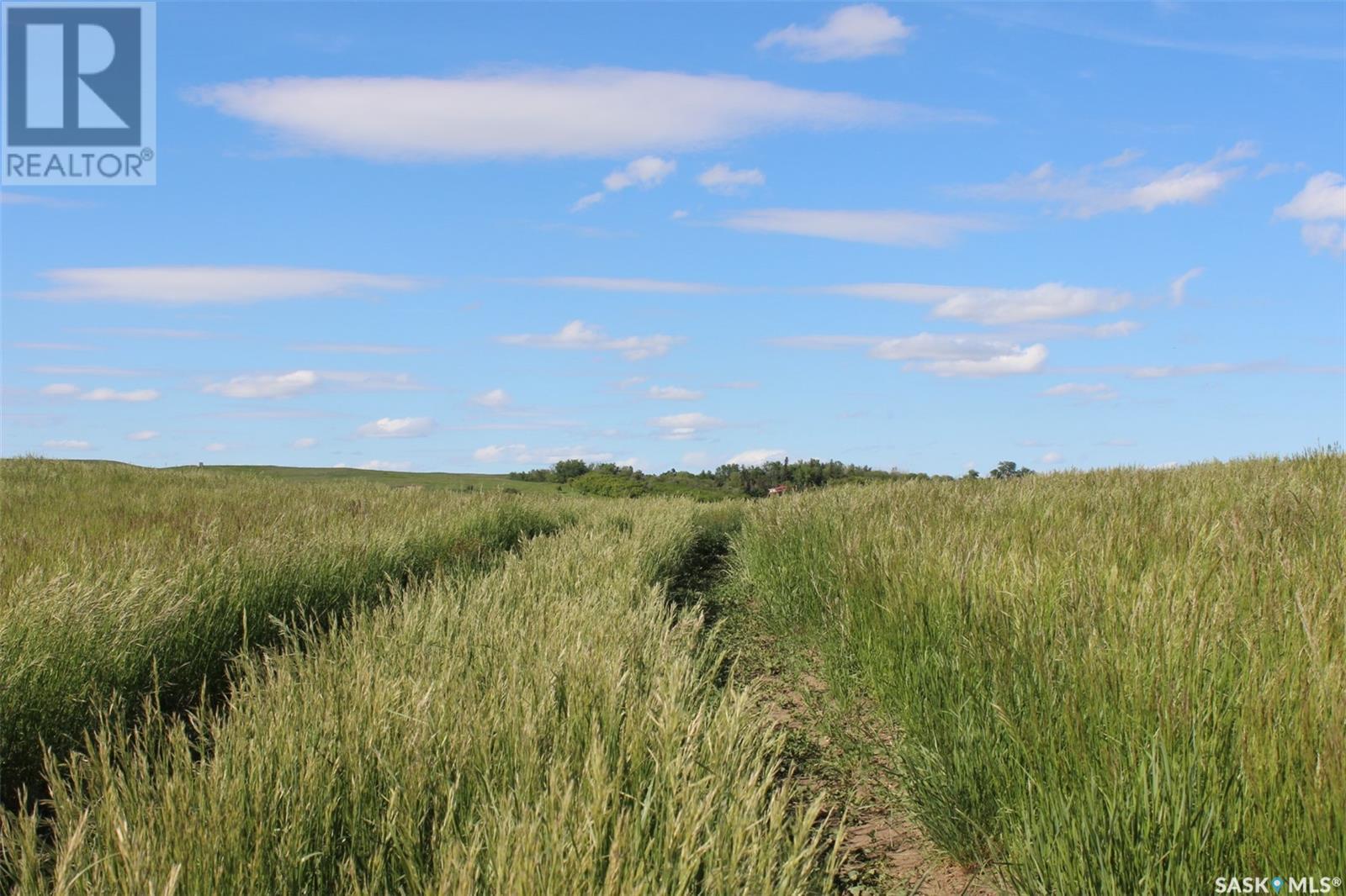 












Large Cattle Ranch

,
Lacadena Rm No. 228,







Saskatchewan
S0L1V0

