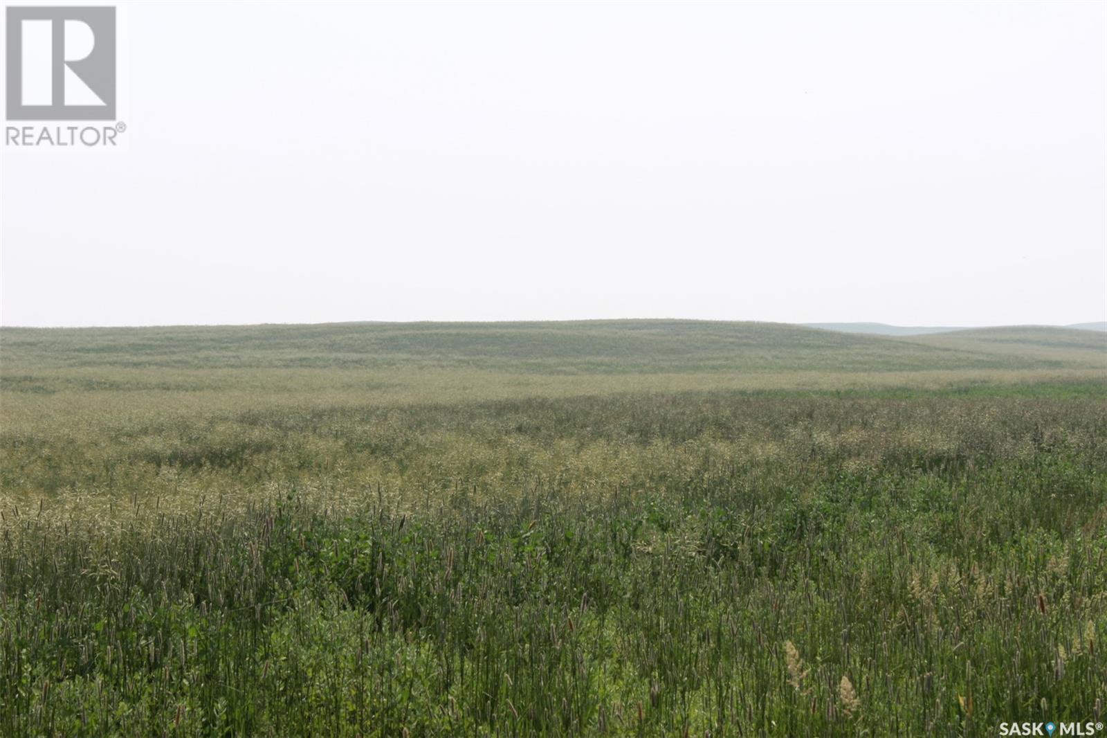 












Large Cattle Ranch

,
Lacadena Rm No. 228,







Saskatchewan
S0L1V0

