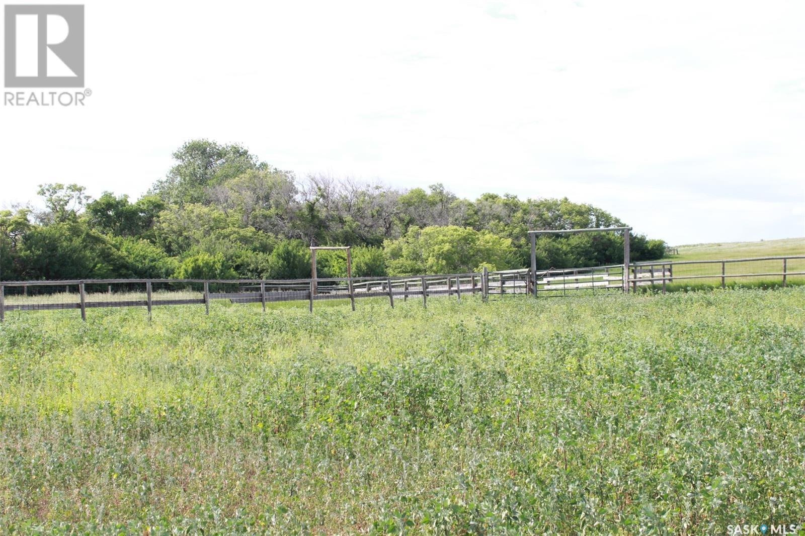 












Large Cattle Ranch

,
Lacadena Rm No. 228,







Saskatchewan
S0L1V0

