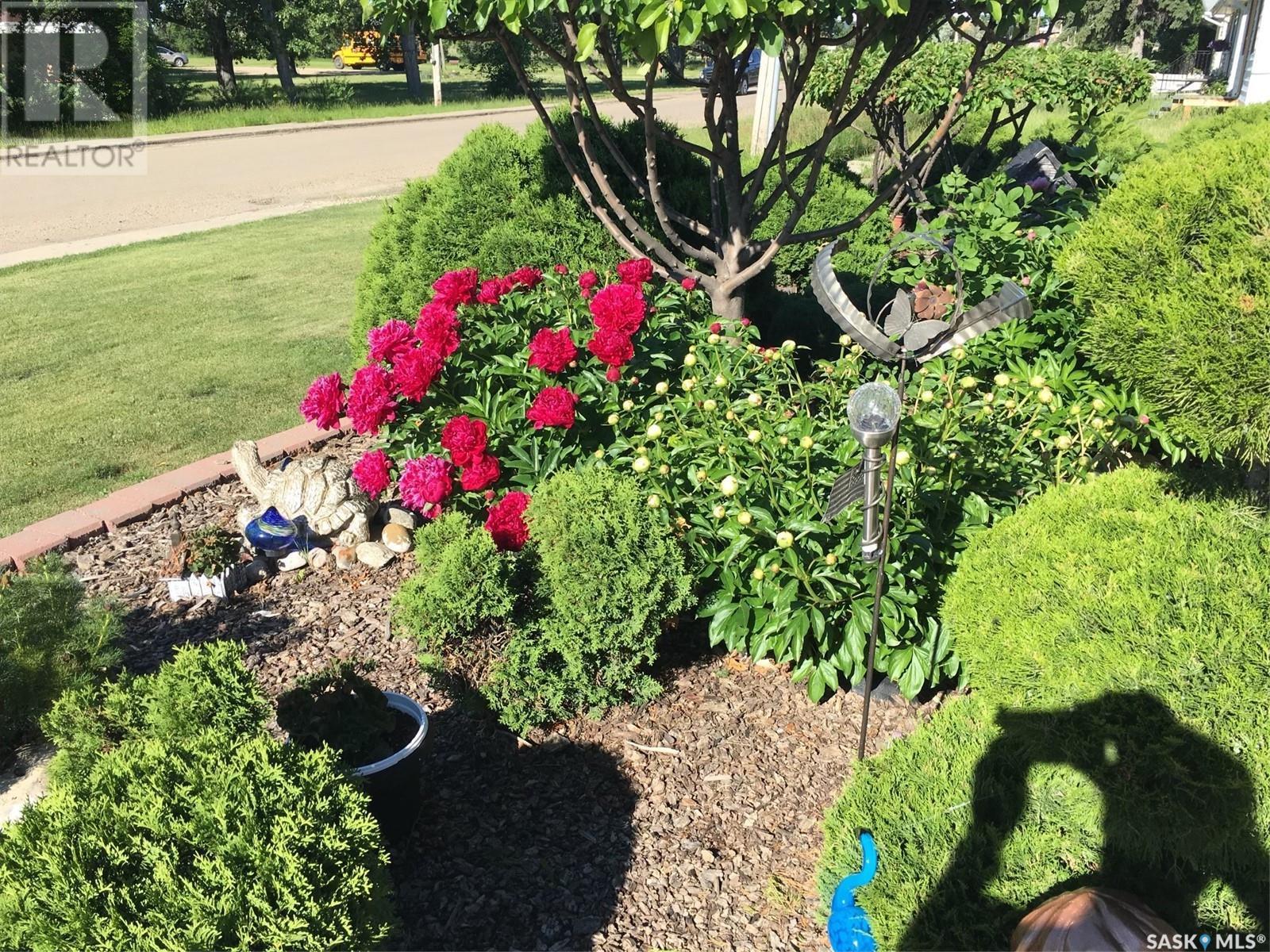












726 Main STREET

,
Eston,




Saskatchewan
S0L1A0

