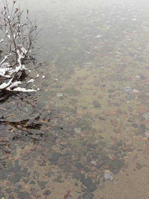 












Ch. du Lac-de-la-Montagne-Noire

,
Lantier,







QC
J0T1V0

