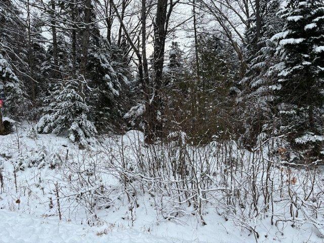 












Ch. du Lac-de-la-Montagne-Noire

,
Lantier,







QC
J0T1V0

