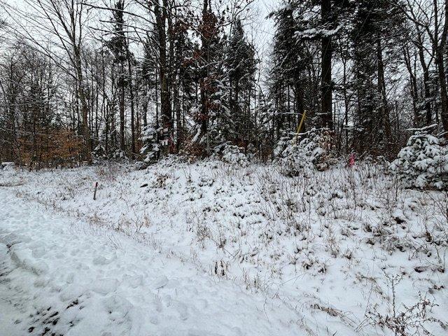 












Ch. du Lac-de-la-Montagne-Noire

,
Lantier,







QC
J0T1V0

