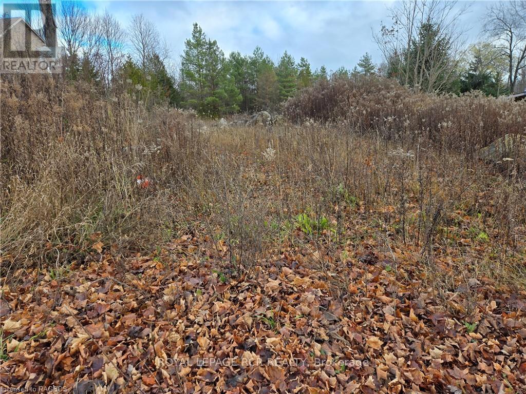 












PTLT8ES SALTER STREET

,
Chatsworth,







Ontario
N0H2V0

