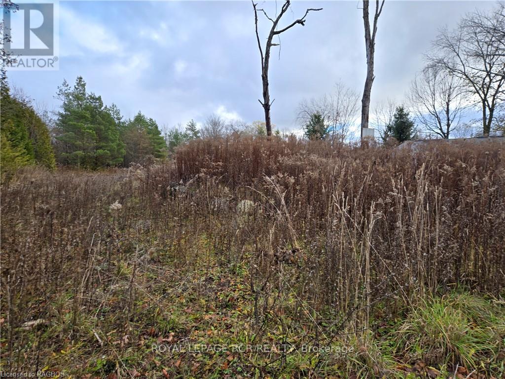 












PTLT8ES SALTER STREET

,
Chatsworth,







Ontario
N0H2V0

