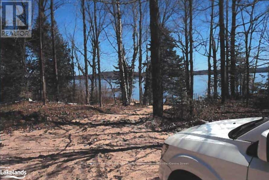 












151 HIGH ROCK DRIVE

,
Strong,







Ontario
P0A1Z0

