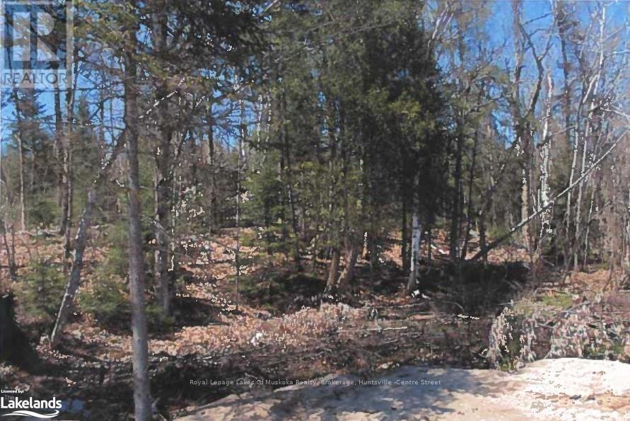 












151 HIGH ROCK DRIVE

,
Strong,







Ontario
P0A1Z0

