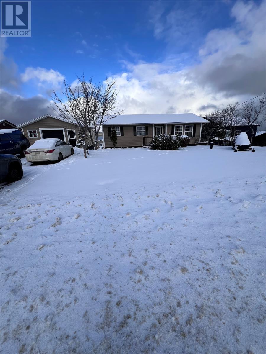 












233 Main Road

,
York Harbour,




Newfoundland & Labrador
A0l1k0

