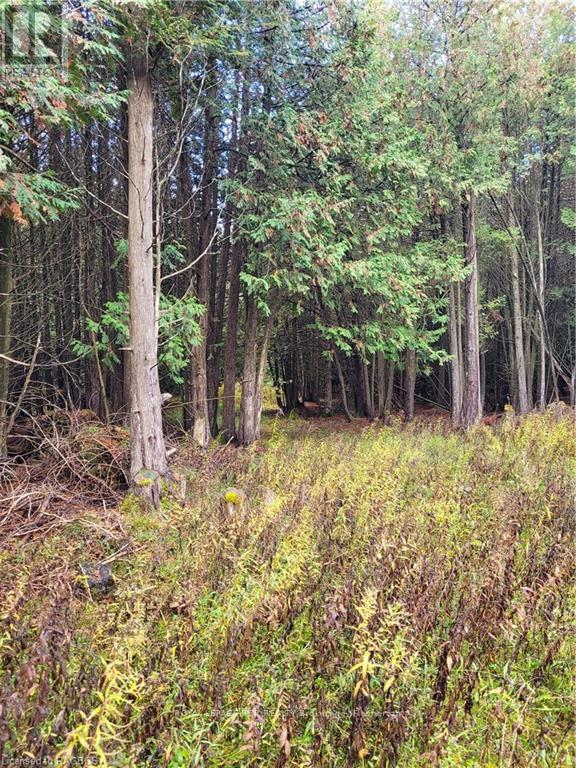 












PT LT88 HIGHWAY 10

,
West Grey,







Ontario
N0C1H0

