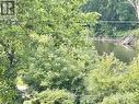 Saugeen River View from Deck