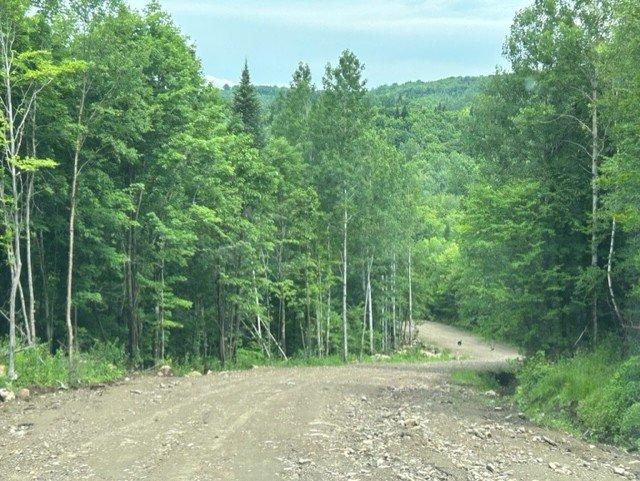 









1Z


Ch. du Petit-Lac-Long

,
Mandeville,







QC
J0K1L0

