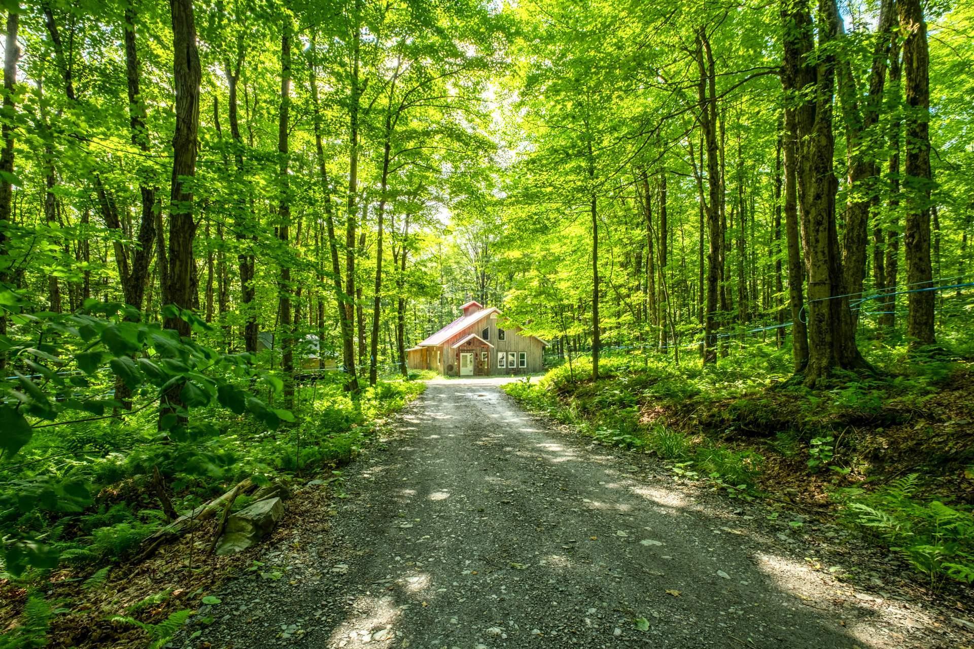 









61Y


Ch. Bonnaly

,
Orford,




QC
J1X6L3

