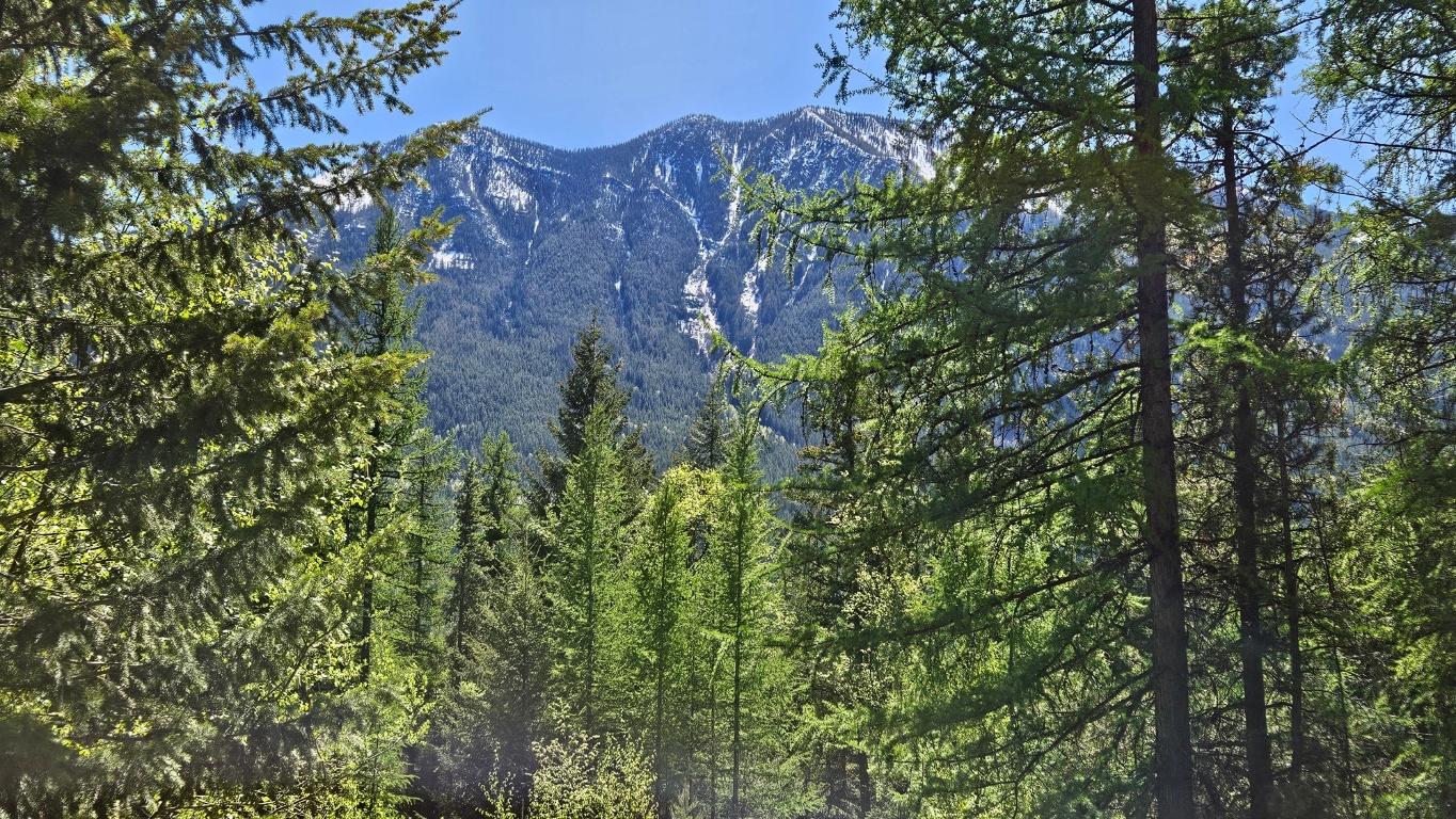 









LOT E


St. Mary Lake

Road,
Kimberley,







BC
V1A 3K5

