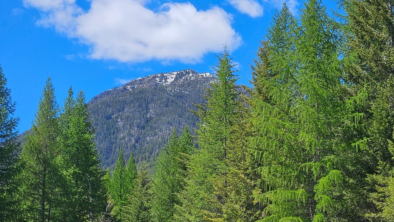 









LOT E


St. Mary Lake

Road,
Kimberley,







BC
V1A 3K5

