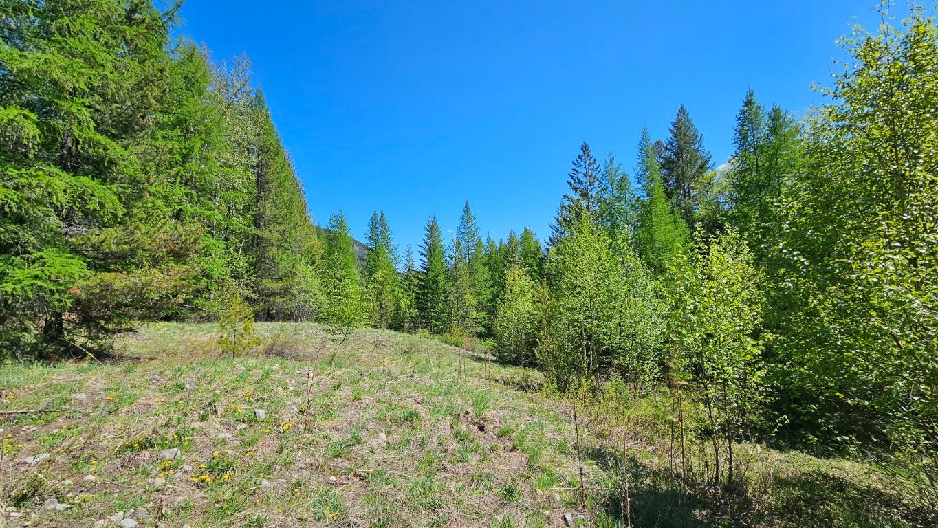 









LOT E


St. Mary Lake

Road,
Kimberley,







BC
V1A 3K5

