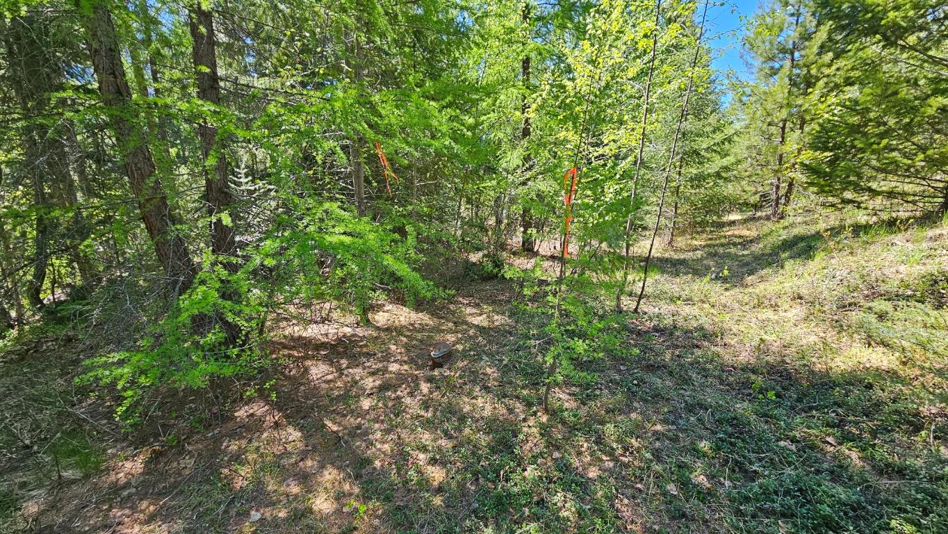 









LOT E


St. Mary Lake

Road,
Kimberley,







BC
V1A 3K5

