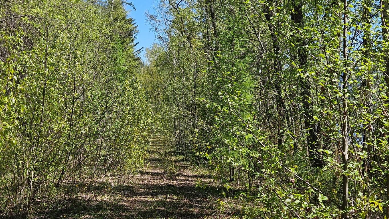 









LOT E


St. Mary Lake

Road,
Kimberley,







BC
V1A 3K5

