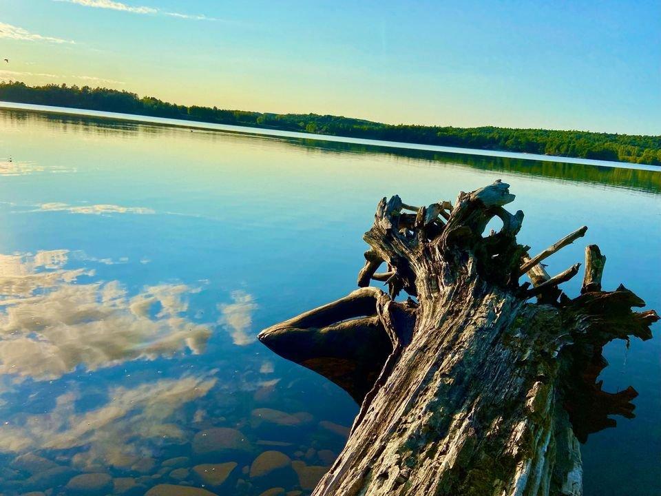 












Ch. Harmony Bay

,
L'Île-du-Grand-Calumet,







QC
J0X1J0


