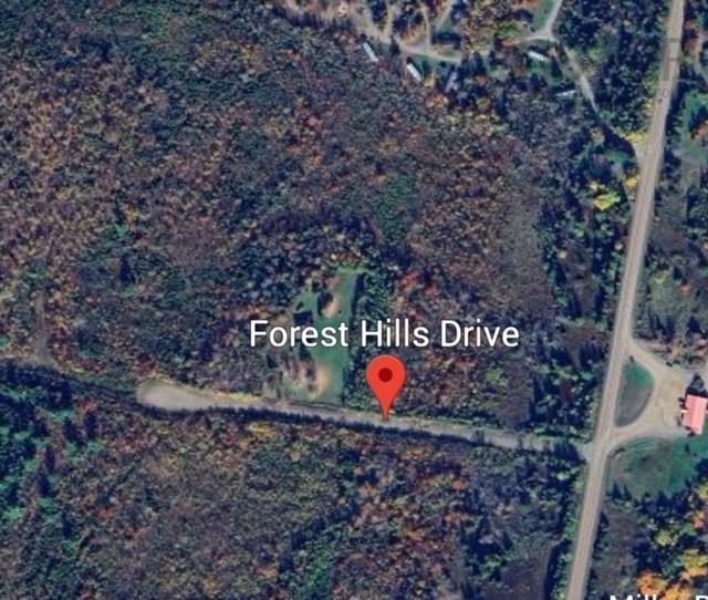 












Lot 2 4 Highway

,
Central West River,







NS
B0K 1P0

