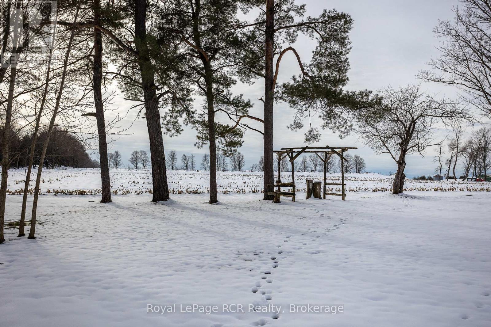 












206 CRAWFORD ROAD

,
Chatsworth,




Ontario
N0H1C0

