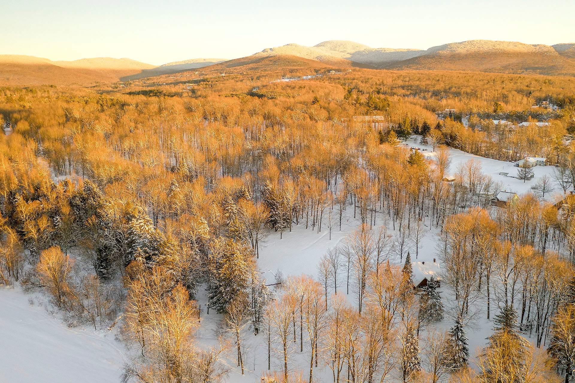 









14


Rue Highland

,
Sutton,




QC
J0E2K0

