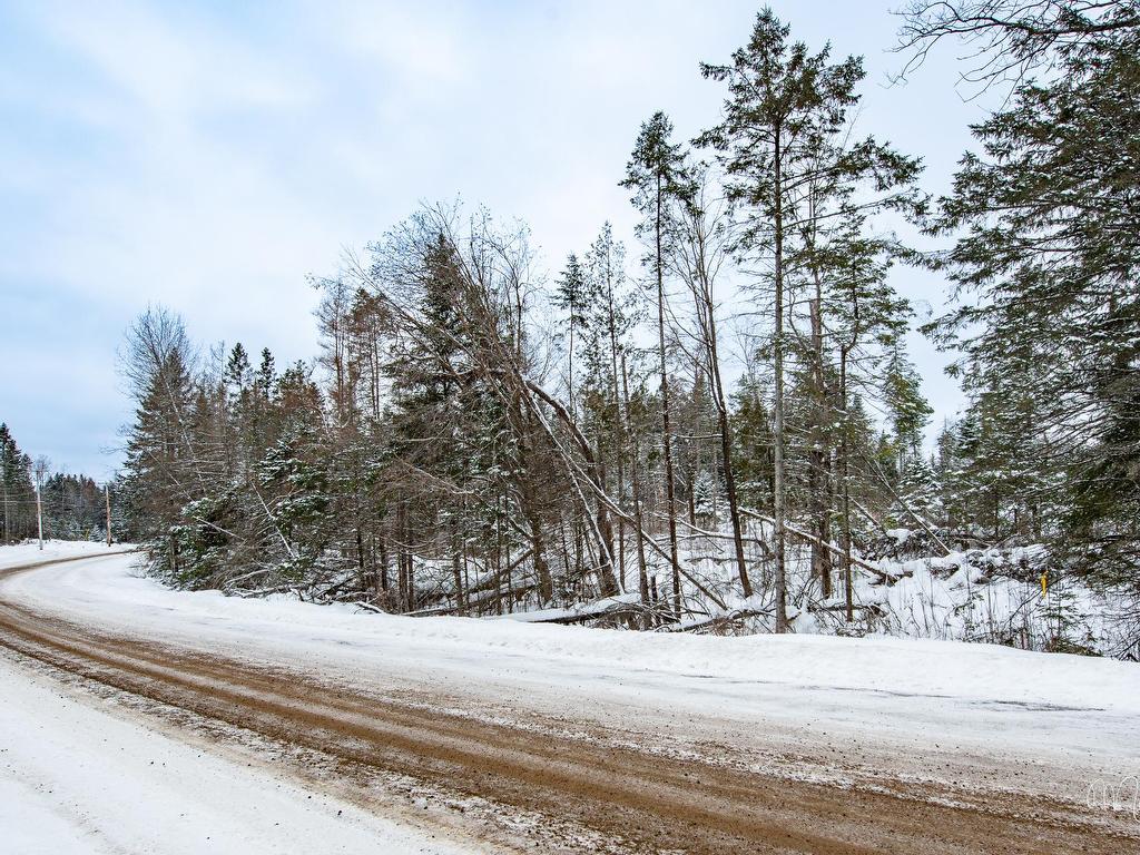 












Rue Forget

,
Morin-Heights,







QC
J0R1H0

