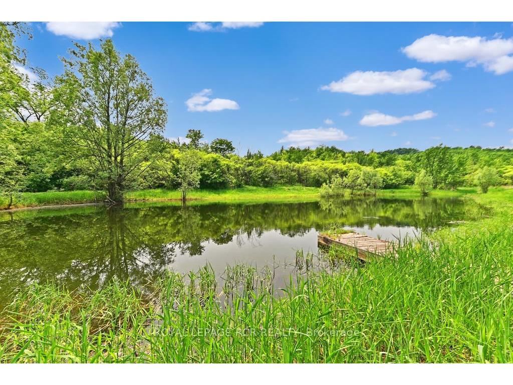 









838742


4th

Line East,
Mulmur,




ON
L9V 0J7

